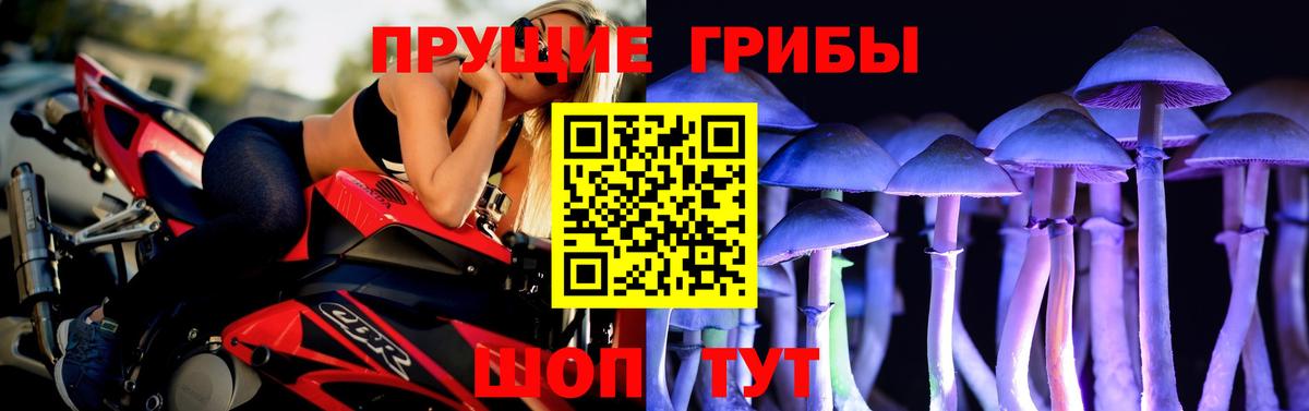 Псилоцибиновые грибы Magic Shrooms  Вход с VPN  Тобольск 